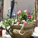 Delle Rose Villa *