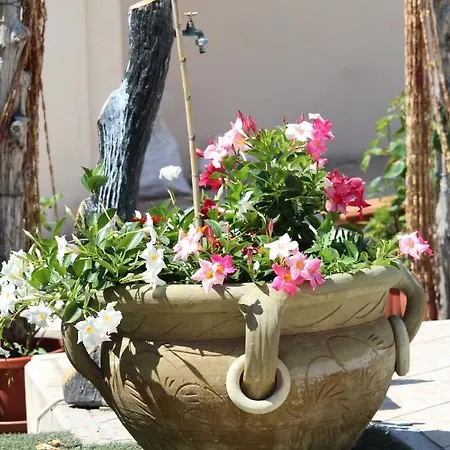 Delle Rose Villa *