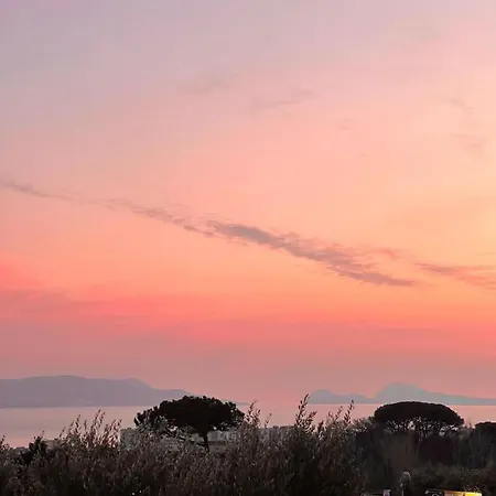 Βίλα Delle Rose Boscotrecase